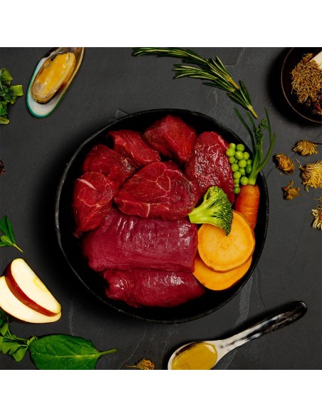 LATA DE ESTOFADO DE VENADO Y JABALÍ SALVAJE PARA PERROS CANAGAN - 400 GR