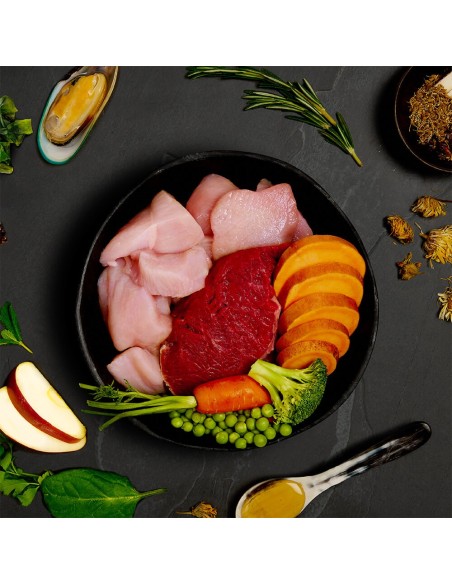 LATA DE FESTÍN TERNERA Y POLLO CAMPERO PARA CACHORROS CANAGAN - 400 GR