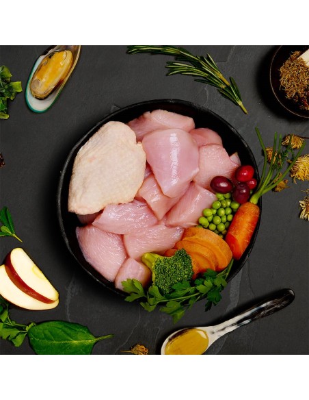 LATA DE FESTÍN PAVO Y POLLO CAMPEROS PARA PERROS SENIOR CANAGAN - 400 GR