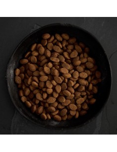 PIENSO CARNES DE CAZA PARA PERROS CANAGAN 2