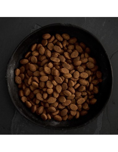 CARNES DE CAZA PARA PERROS CANAGAN