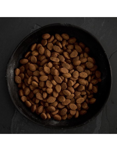 PIENSO CARNES DE CAZA PARA PERROS CANAGAN