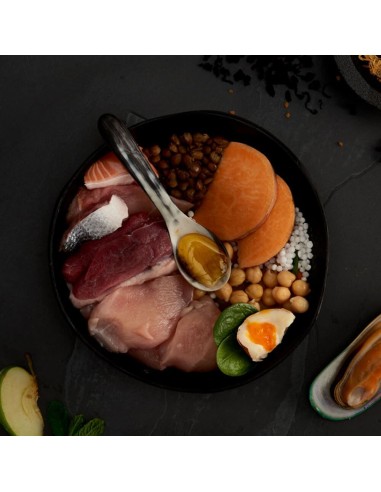 FESTÍN DE LAS HIGHLANDS PARA PERROS CANAGAN