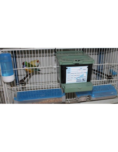 NIDO ISABELA PARA EXÓTICOS MOLDES AVE