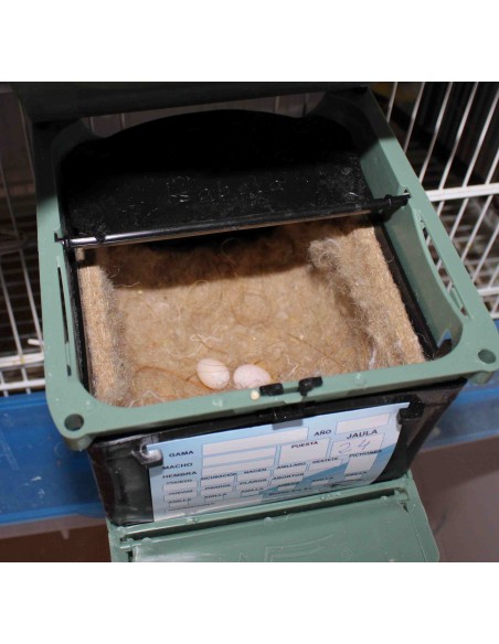 NIDO ISABELA PARA EXÓTICOS MOLDES AVE