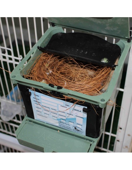 NIDO ISABELA PARA EXÓTICOS MOLDES AVE