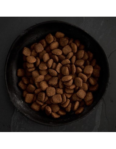 PIENSO CORDERO DE PRADO PARA PERROS CANAGAN