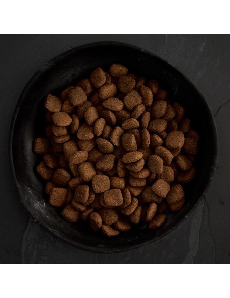 PIENSO CORDERO DE PRADO PARA PERROS CANAGAN