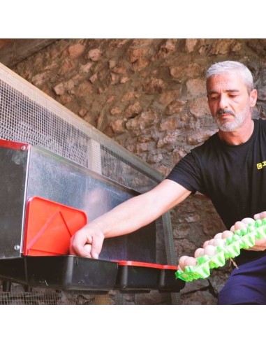 PONEDERO PLATINUM EXTERIOR 4 DEPARTAMENTOS COPELE