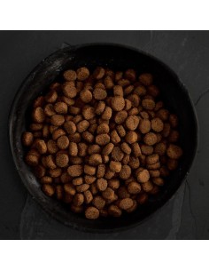 FESTÍN DE LAS HIGHLANDS PARA PERROS CANAGAN 2