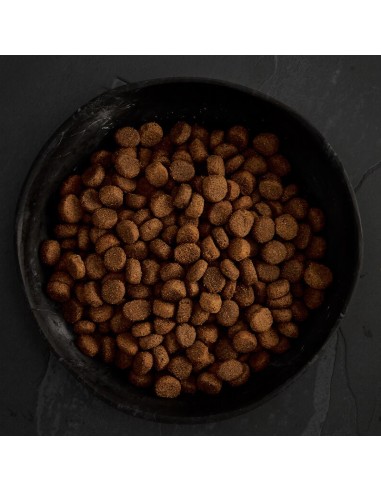 FESTÍN DE LAS HIGHLANDS PARA PERROS CANAGAN