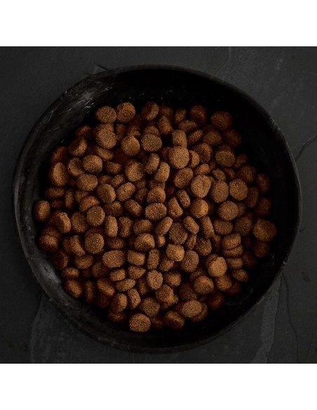 FESTÍN DE LAS HIGHLANDS PARA PERROS CANAGAN