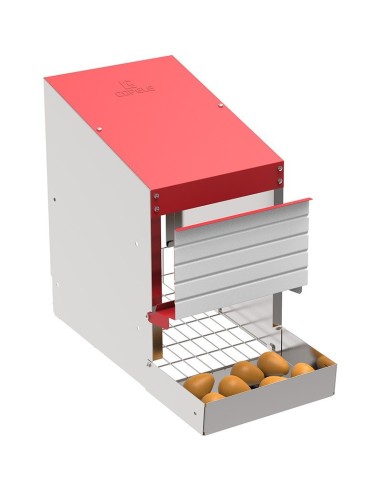 PONEDERO PARA GALLINAS 1 DEPARTAMENTO COPELE