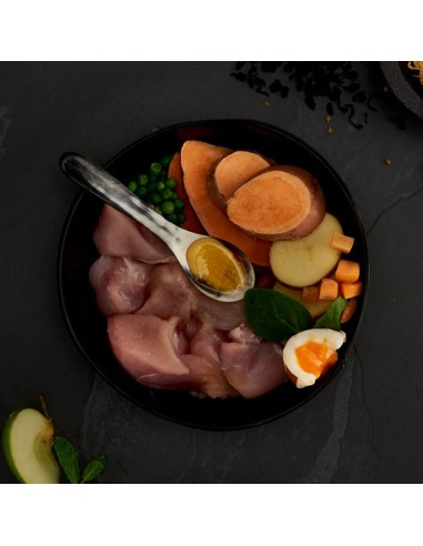 POLLO CAMPERO PARA PERROS CANAGAN