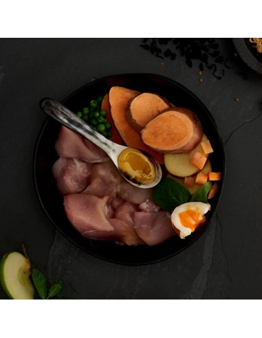 POLLO CAMPERO LIGHT Y SENIOR PARA PERROS CANAGAN