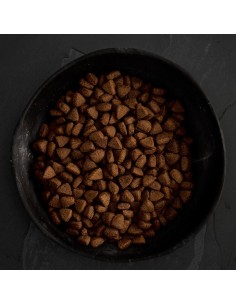 PIENSO POLLO CAMPERO PARA PERROS CANAGAN 2