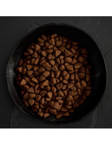 POLLO CAMPERO PARA PERROS CANAGAN