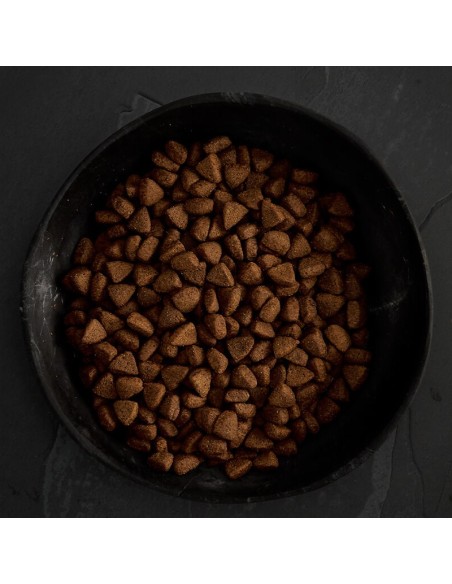 POLLO CAMPERO PARA PERROS CANAGAN