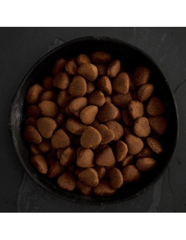 PIENSO POLLO CAMPERO PARA PERROS DE RAZAS...