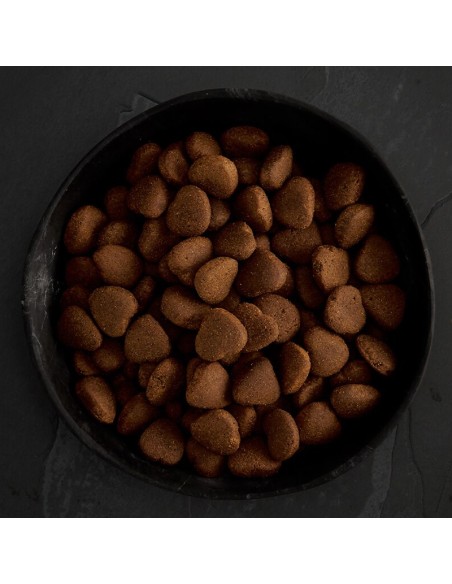 POLLO CAMPERO PARA PERROS DE RAZAS GRANDES CANAGAN