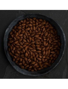 PROTEÍNA DE INSECTOS PARA PERROS CANAGAN 2