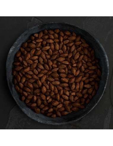 PIENSO PROTEÍNA DE INSECTOS PARA PERROS CANAGAN