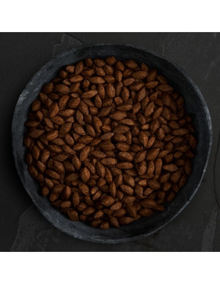 PIENSO PROTEÍNA DE INSECTOS PARA PERROS CANAGAN