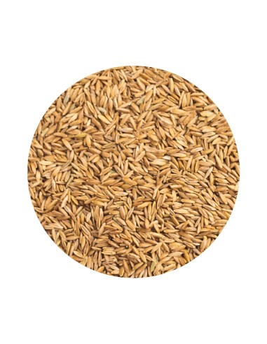 FONNIPADY PET CUP - 850 GR