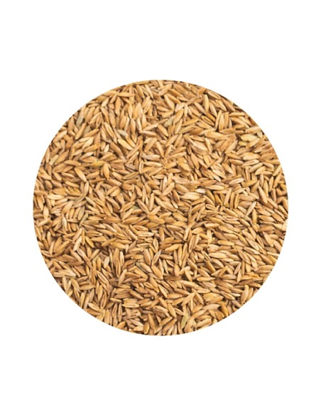 FONNIPADY PET CUP - 850 GR