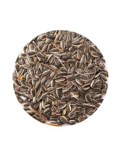 PIPA IREGUI RAYADA PET CUP - 20 KG