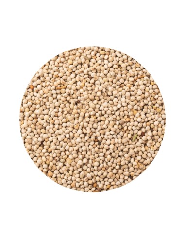 PERILLA PET CUP - 13 KG