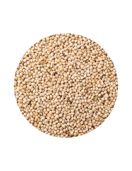 PERILLA PET CUP - 13 KG