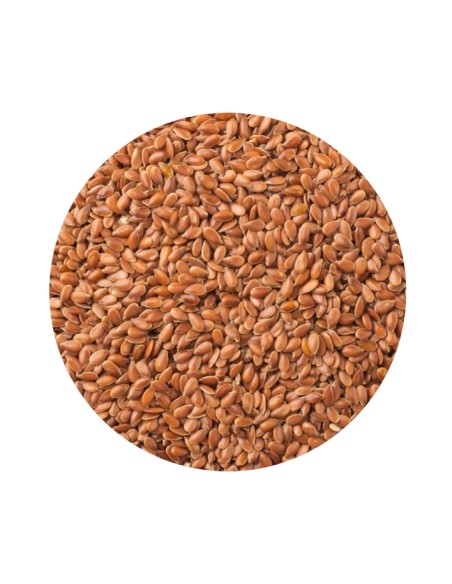 LINAZA MARRON PET CUP - 20 KG