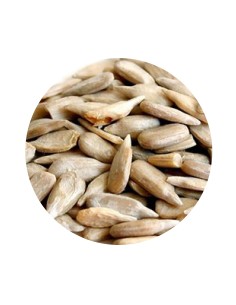 PIPA PELADA PET CUP - 20 KG