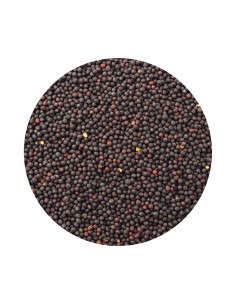 COLZA PET CUP - 20 KG