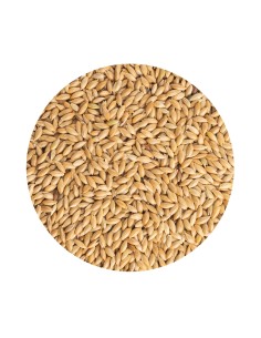 ALPISTE PET CUP - 20 KG