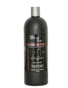 CHAMPÚ YORKSHIRE MAGISTRAL ROYAL