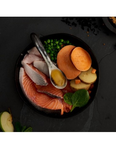 SALMÓN ESCOCÉS PARA PERROS CANAGAN