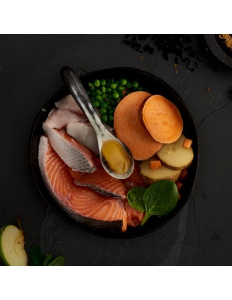 PIENSO SALMÓN ESCOCÉS PARA PERROS CANAGAN