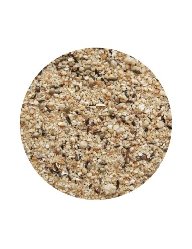 PASTA BLANCA SECA PET CUP - 10 KG