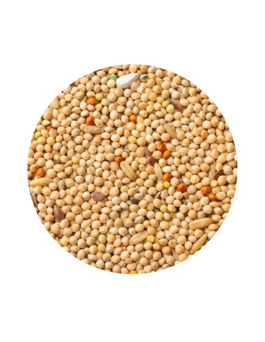 MIXTURA PERIQUITOS CLASSIC PET CUP - 20 KG