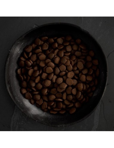 SALMÓN ESCOCÉS PARA PERROS CANAGAN