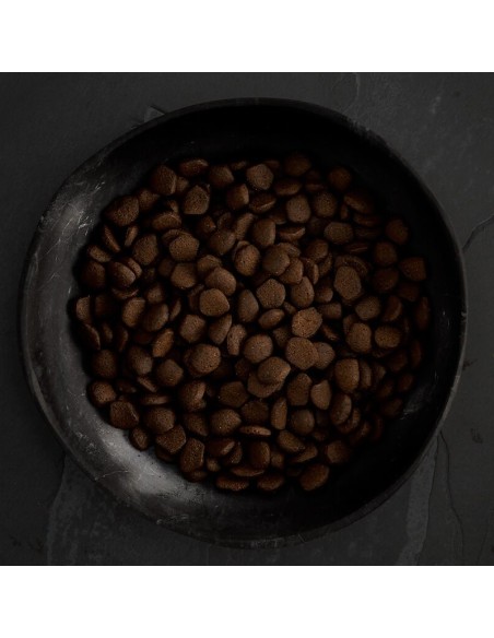 PIENSO SALMÓN ESCOCÉS PARA PERROS CANAGAN