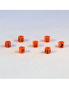 ANILLA PLÁSTICO CERRADA DE AÑO CANARIOS (25 UNIDADES) RSL