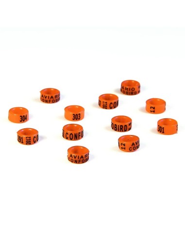 ANILLA PLÁSTICO CERRADA DE AÑO NINFAS (25...