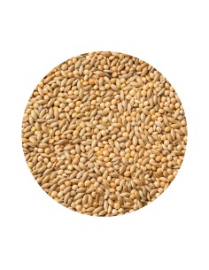 MIXTURA DIAMANTE GOULD PET CUP - 20 KG