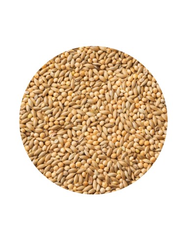 MIXTURA DIAMANTE GOULD PET CUP - 20 KG