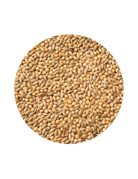 MIXTURA DIAMANTE GOULD PET CUP - 20 KG