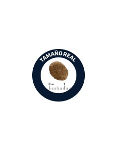 ADVANCE VETERINARY DIETS URINARY GATOS AFFINITY ADVANCE 2