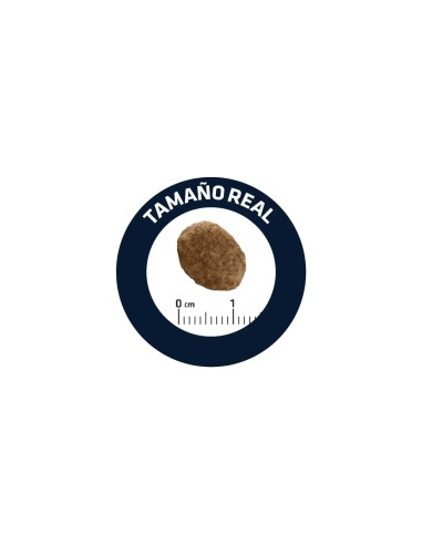 ADVANCE VETERINARY DIETS URINARY GATOS AFFINITY...